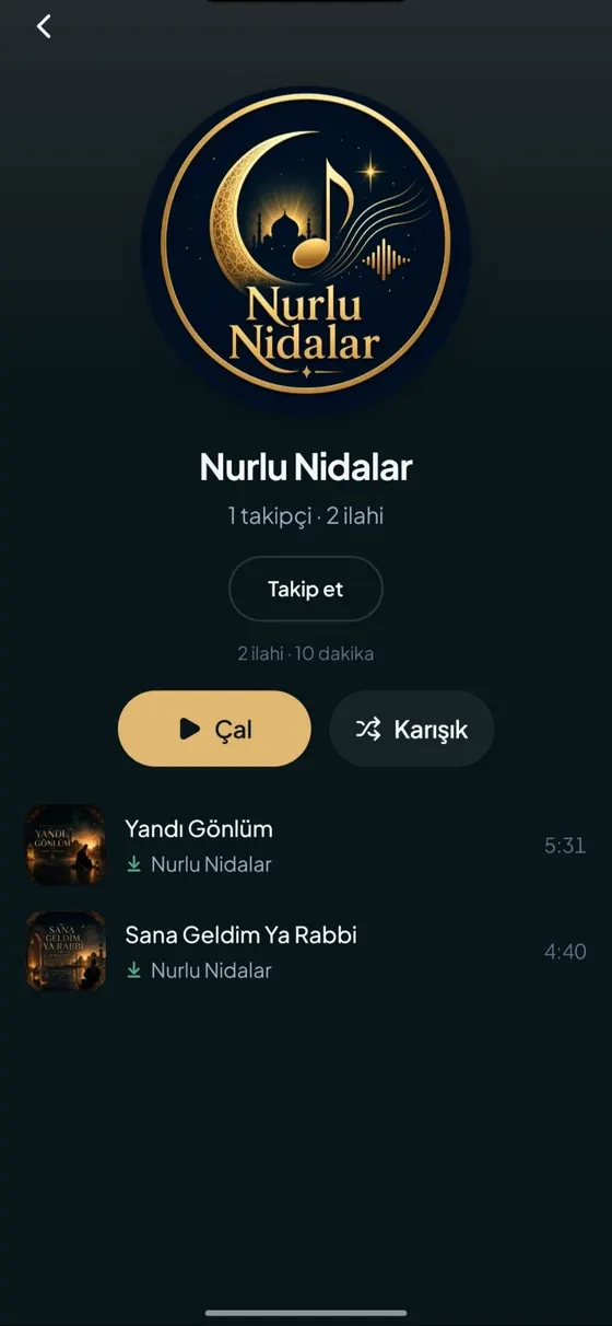 Sanatçı sayfası: sanatçının eserleri, takip düğmesi ve çal seçenekleri
